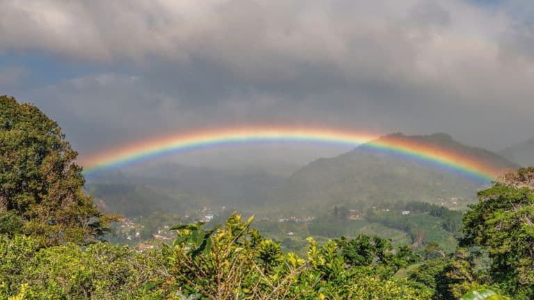 Panoramic view of a rainbow arching over the lush green hills and valleys of Panama, with vibrant trees and a cloudy sky in the background, showcasing the natural beauty and landscapes of Panama's highlands.”