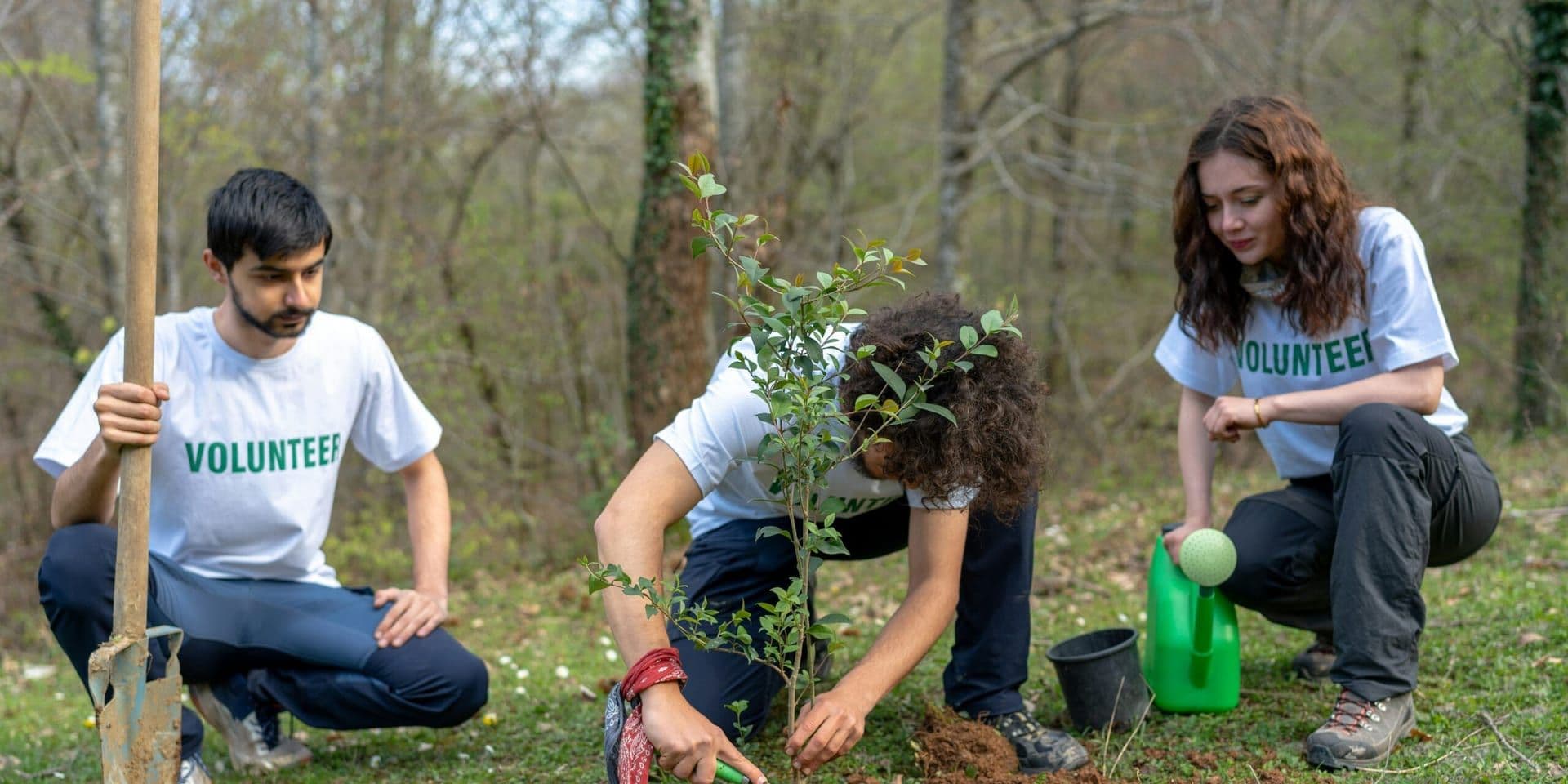 Americans Celebrate World Rainforest Day with Community Tree Planting Events