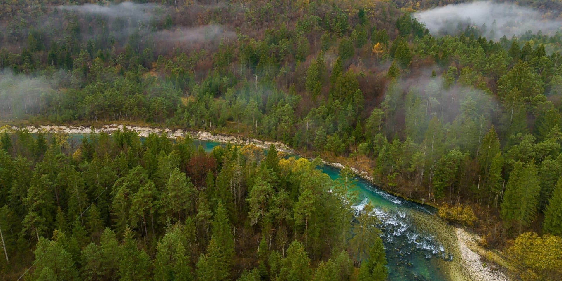 Fix Our Forests Act Gains Momentum in Bipartisan Push for Wildfire Mitigation