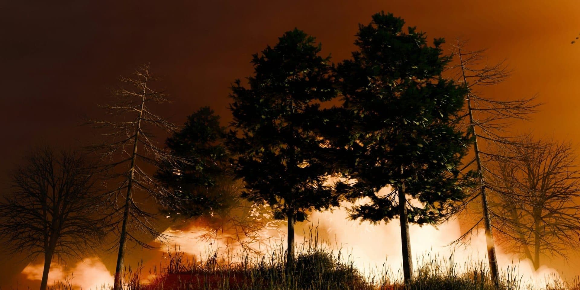 U.S. Lawmakers Urge Canada to Strengthen Wildfire Management as Midwest Air Quality Worsens