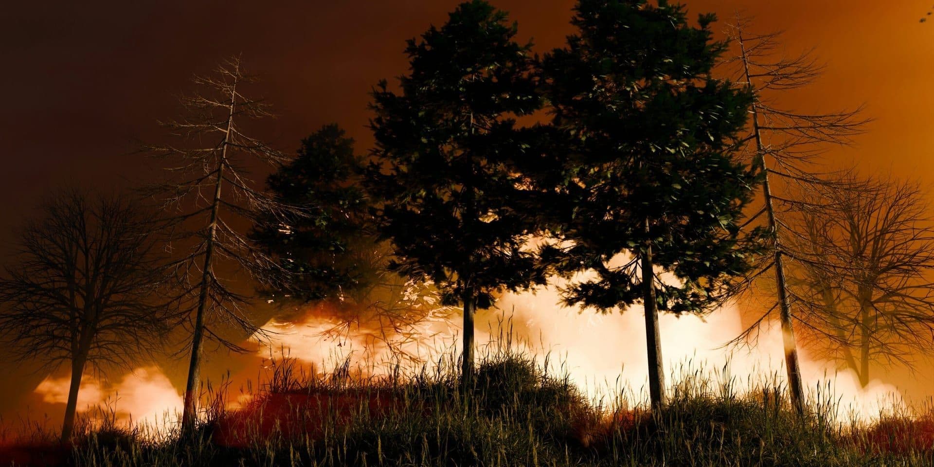 Canadian Wildfires’ Smoke Reaches Global Distances, Significantly Affecting Air Quality