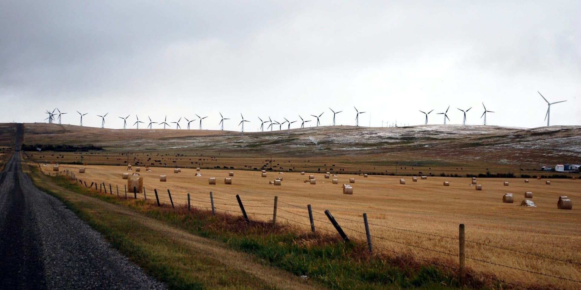 Federal Judge Strikes Down Wind Energy Block, Advocates Call It a Win for Clean Power