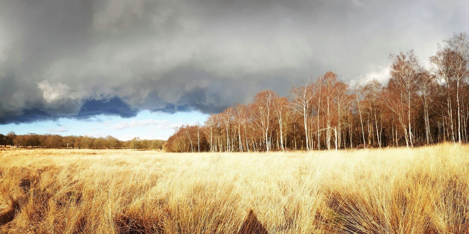 UN and U.S. Experts Stress Integrated Approach to Climate, Biodiversity, and Pollution