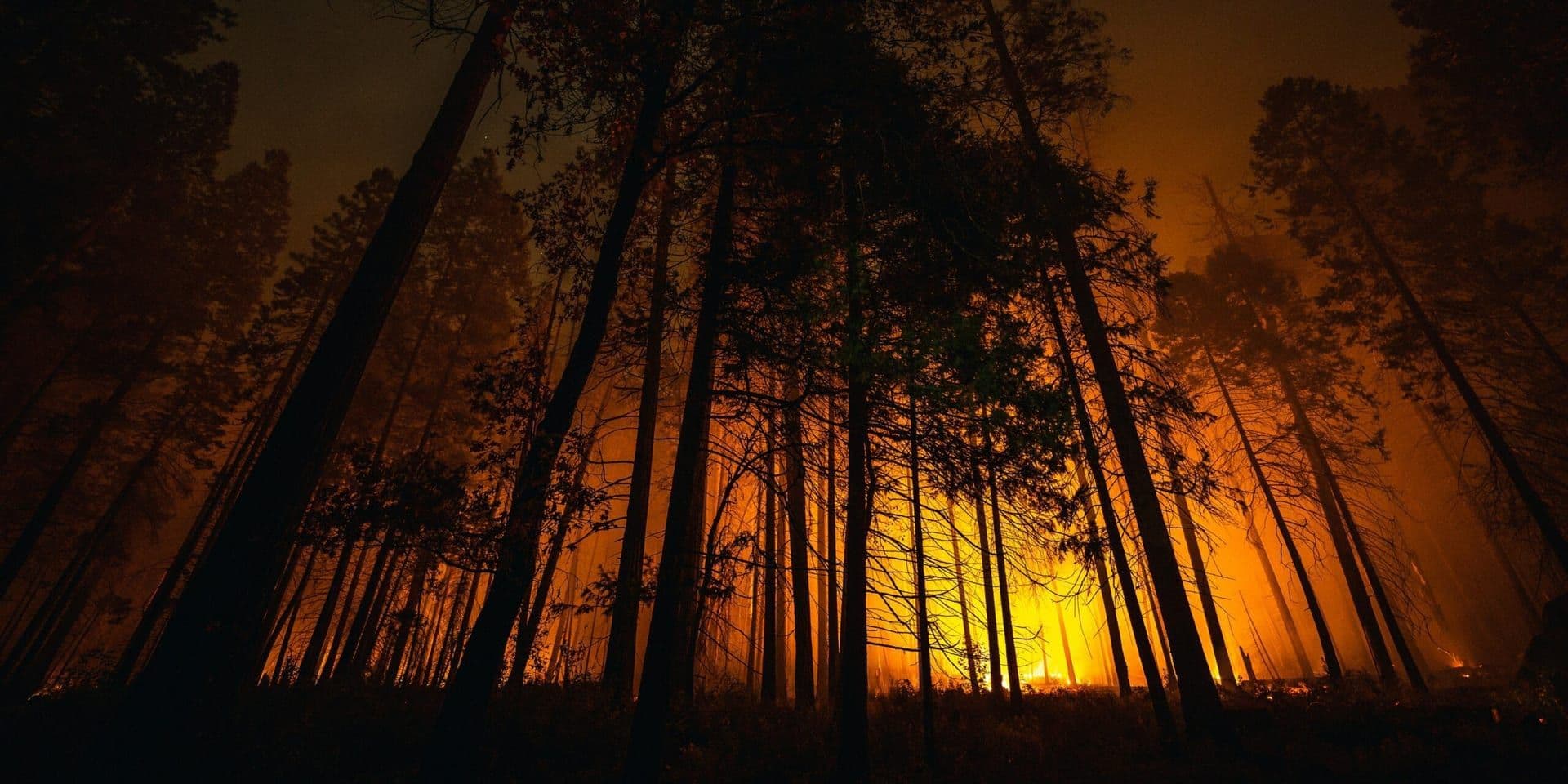 Oregon Sees Surge in Fire Weather Days Amid Climate Change