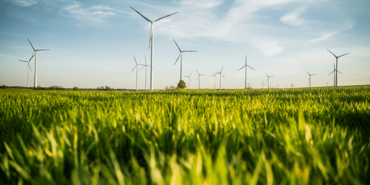 Nationwide Clean Energy Expansion Signals Momentum for Climate and Community Resilience