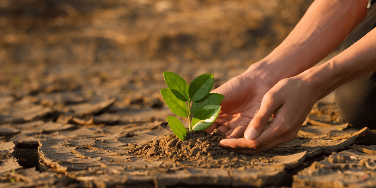 U.S. Expands National Climate Monitoring Network to Strengthen Environmental Resilience