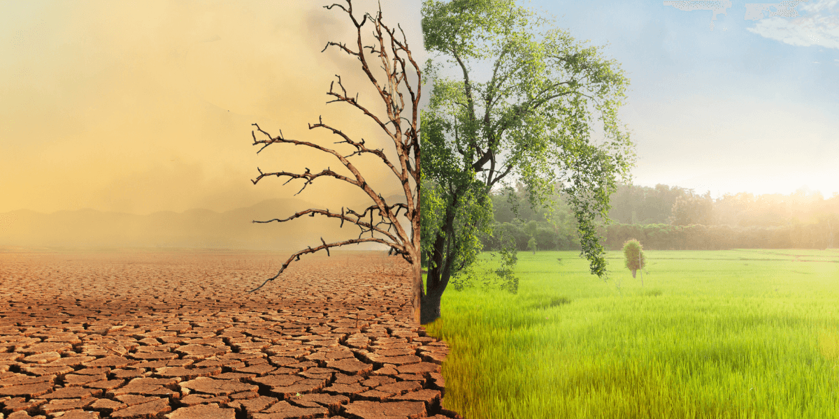 U.S. Democracy, Climate Action, and Grassroots Energy: Signs of Momentum in 2026 Political Landscape