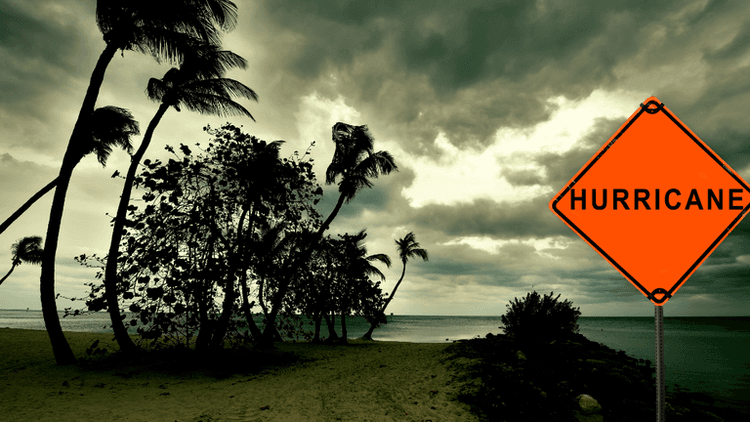 Hurricane warning sign near a beach with palm trees under a dark, cloudy sky