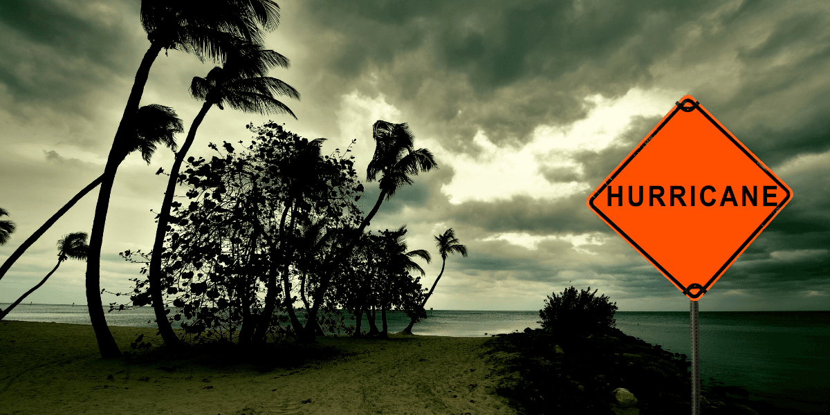 Hurricane warning sign near a beach with palm trees under a dark, cloudy sky