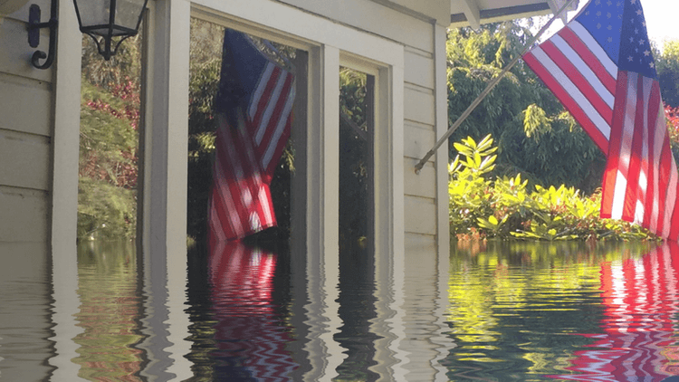 A flooded yard reflects American flags hanging by a window and vibrant greenery