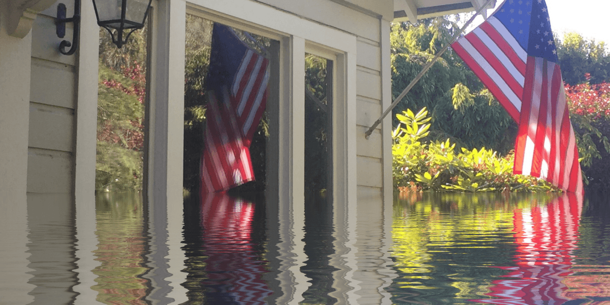 A flooded yard reflects American flags hanging by a window and vibrant greenery