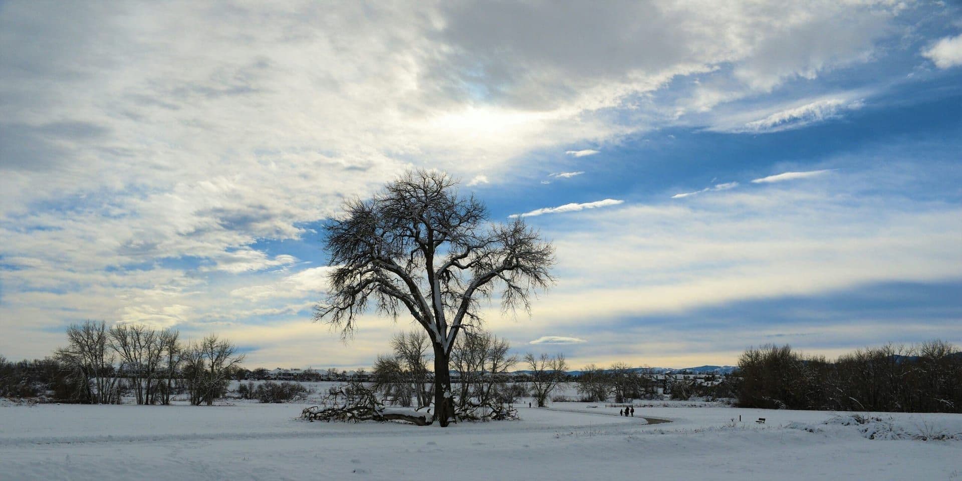 U.S. Winter Extremes Spotlight Long‑Term Climate Challenges