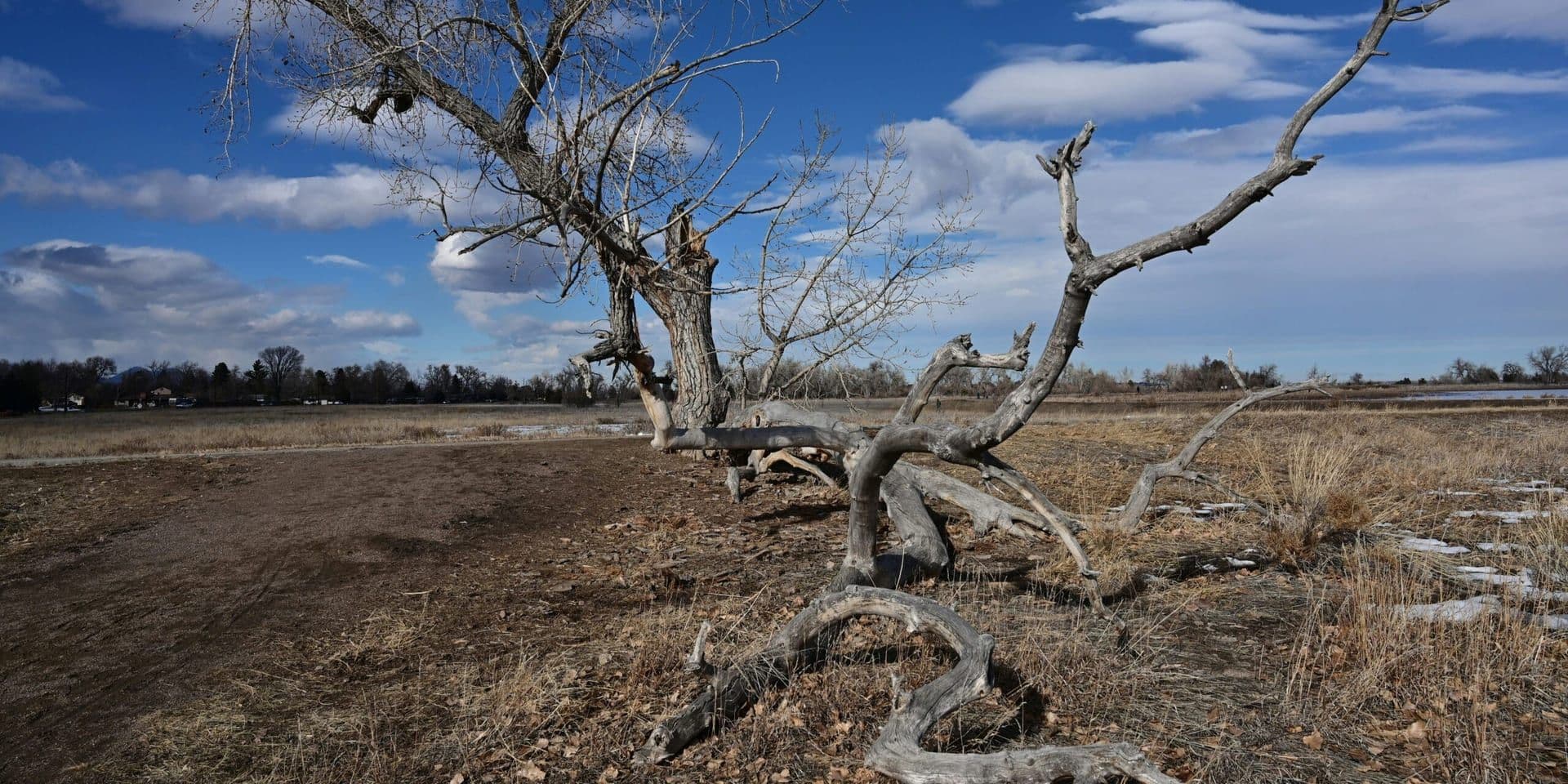 Scientists Highlight Climate Trends as Extreme Weather Grips U.S.