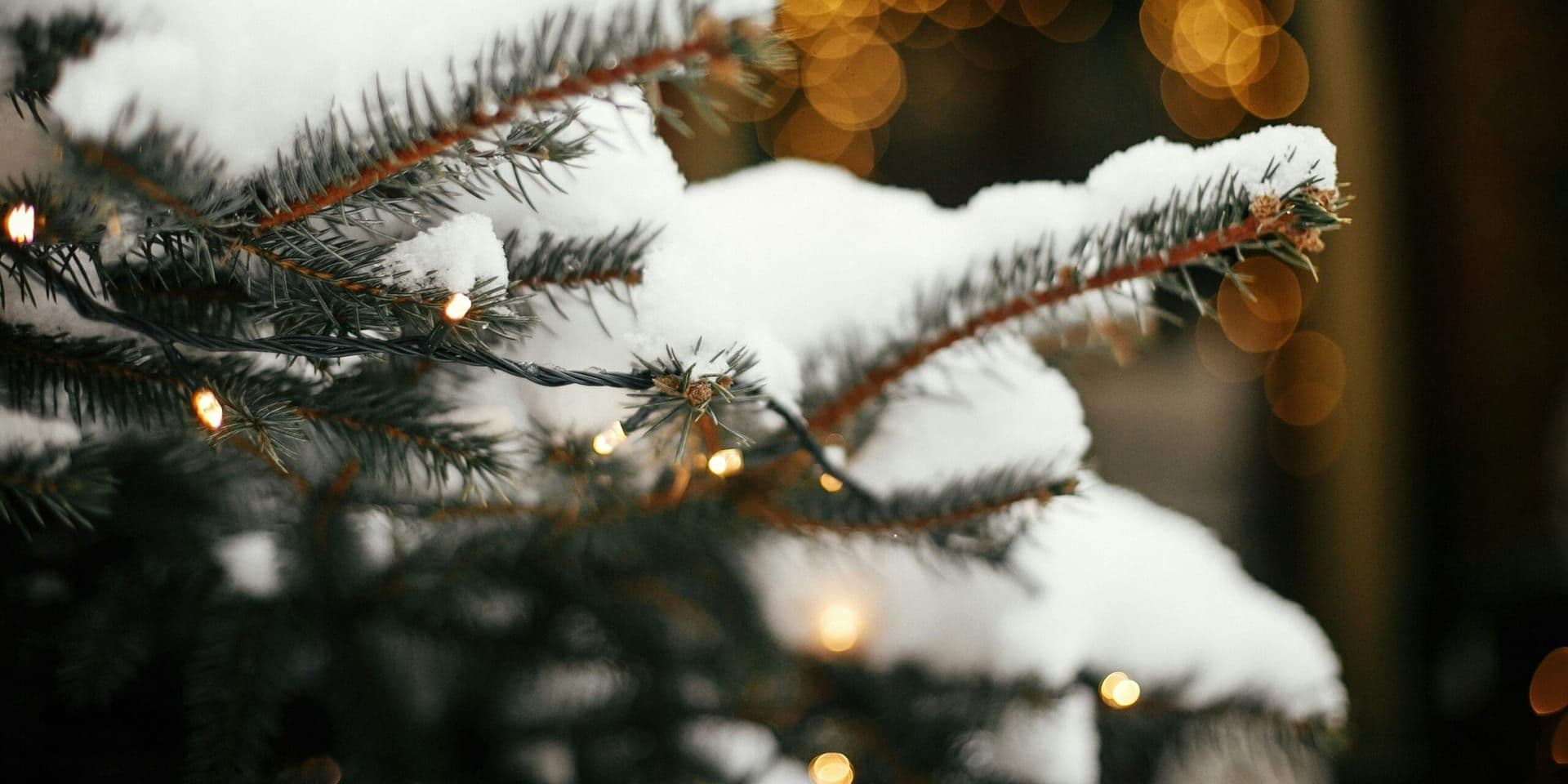 Record Warm Holiday Outlook Highlights U.S. Climate Trends