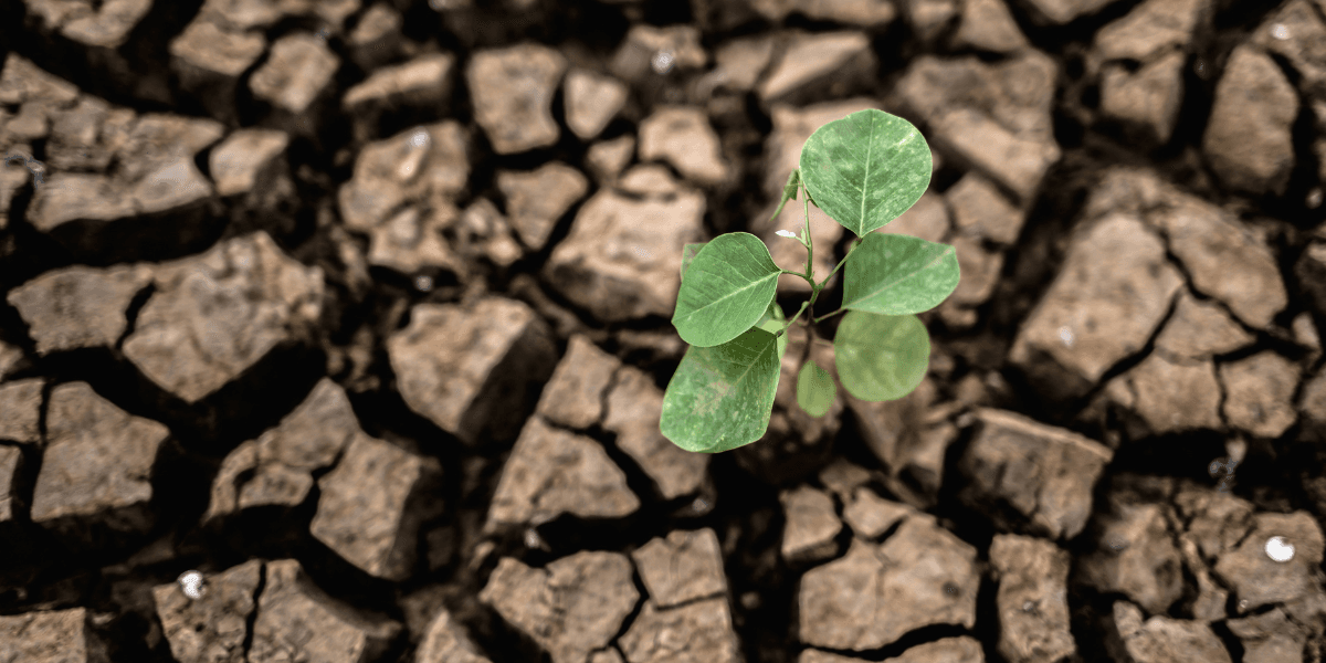 U.S. Climate Outlook Warns of High Likelihood of El Niño Developing by Summer 2026