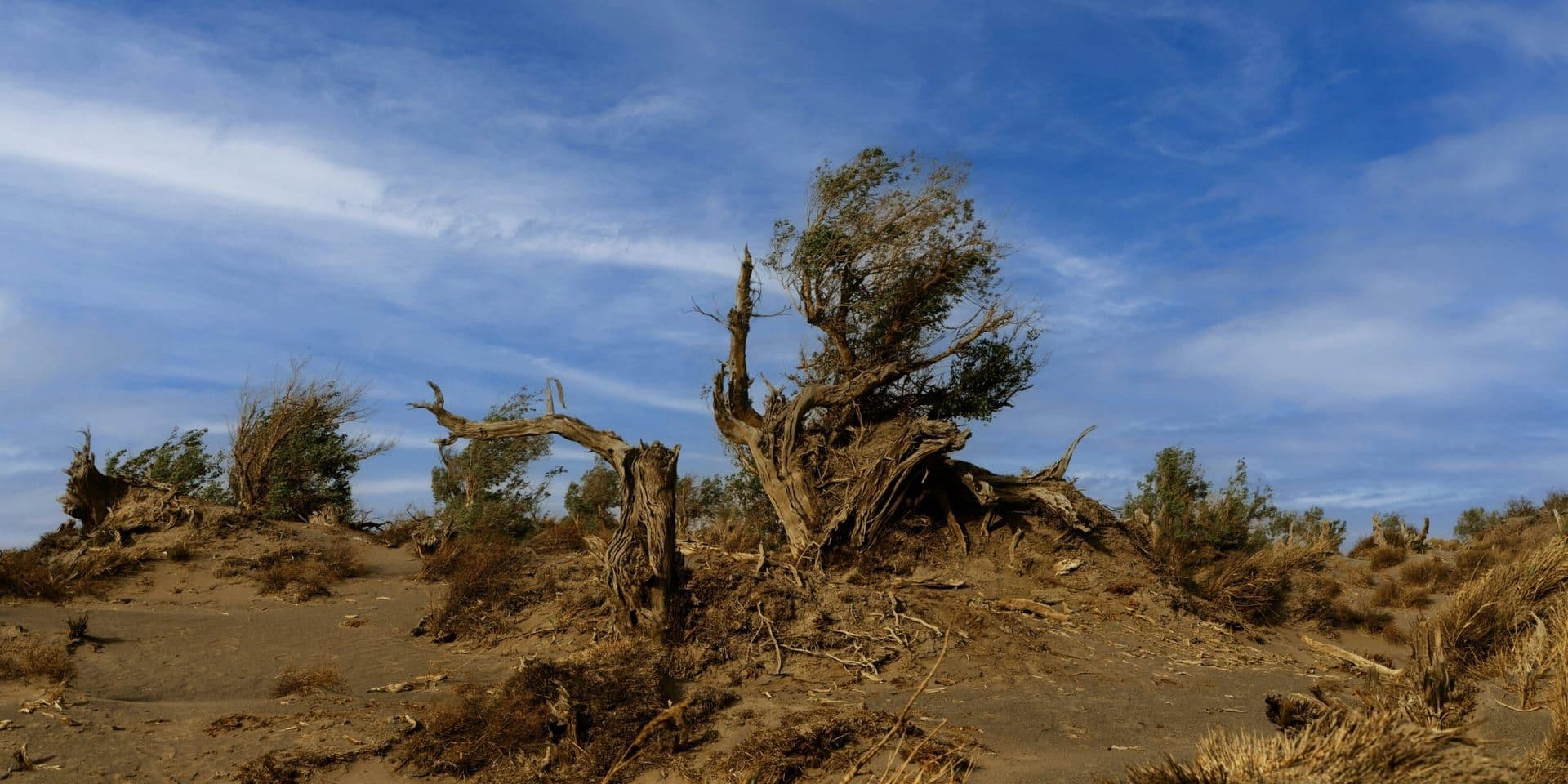 Climate Crossroads: Experts Warn of U.S. Policy Reversals Amid Rising Global Emissions