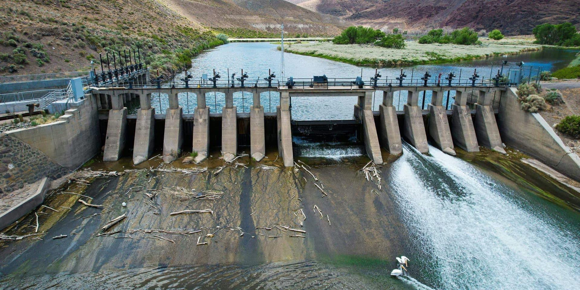 Google’s $3 B Hydropower Deal Highlights Corporate Climate Responsibility