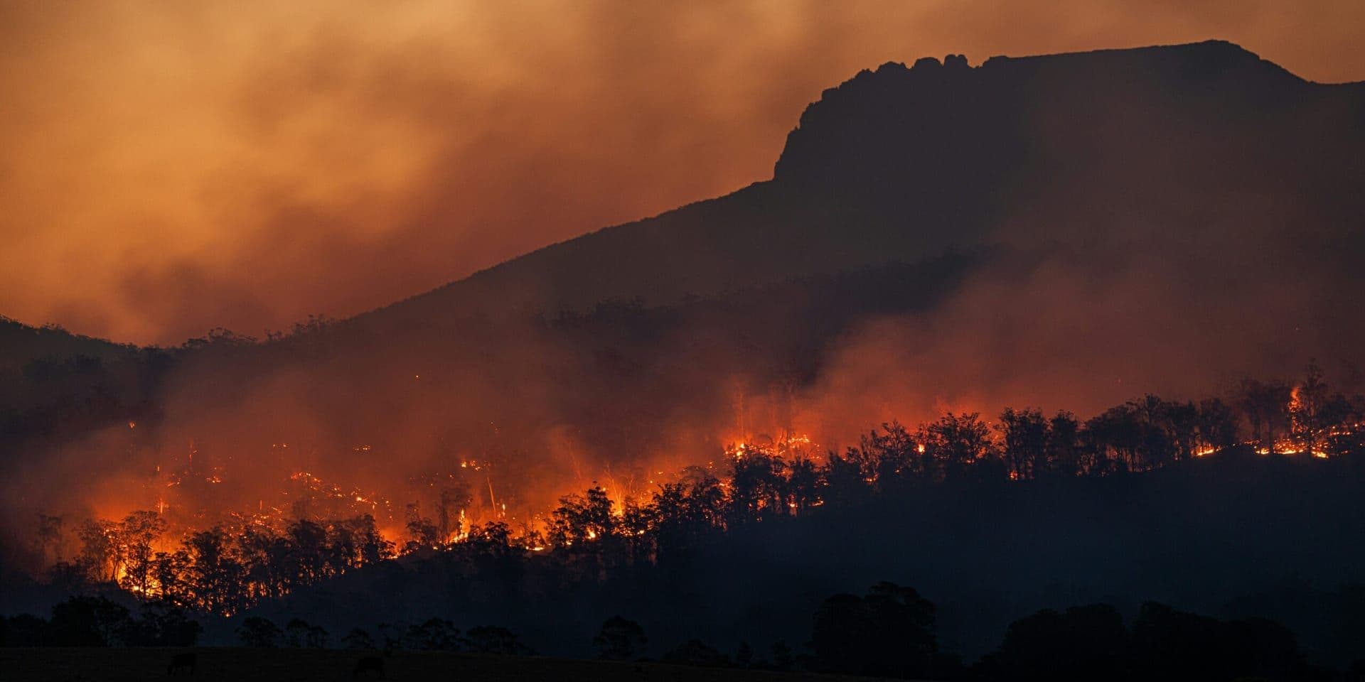 U.S. Withdrawal from Global Climate Agreements Highlights State-Level Climate Commitments