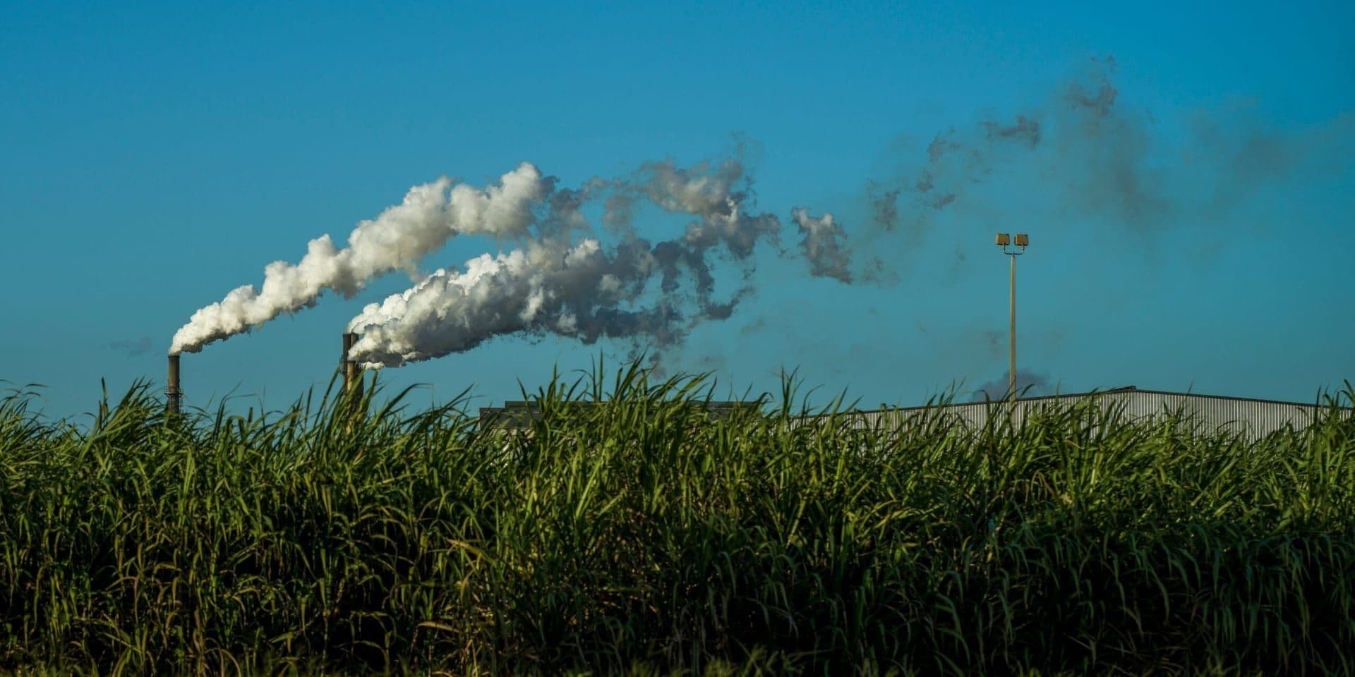 Critics Slam Trump’s Biofuels Expansion as Climate Setback