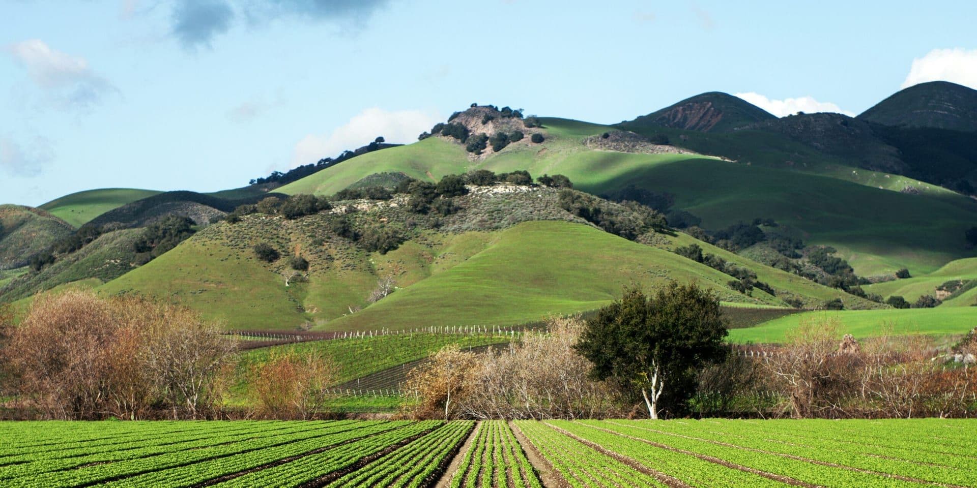 California’s Green Revolution: Bold Clean Energy Legislation Moves Forward in 2025