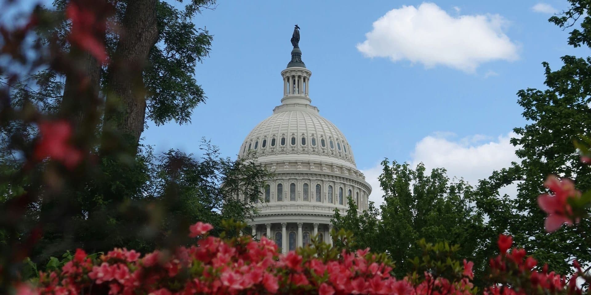 Senate Passes Landmark Climate Bill