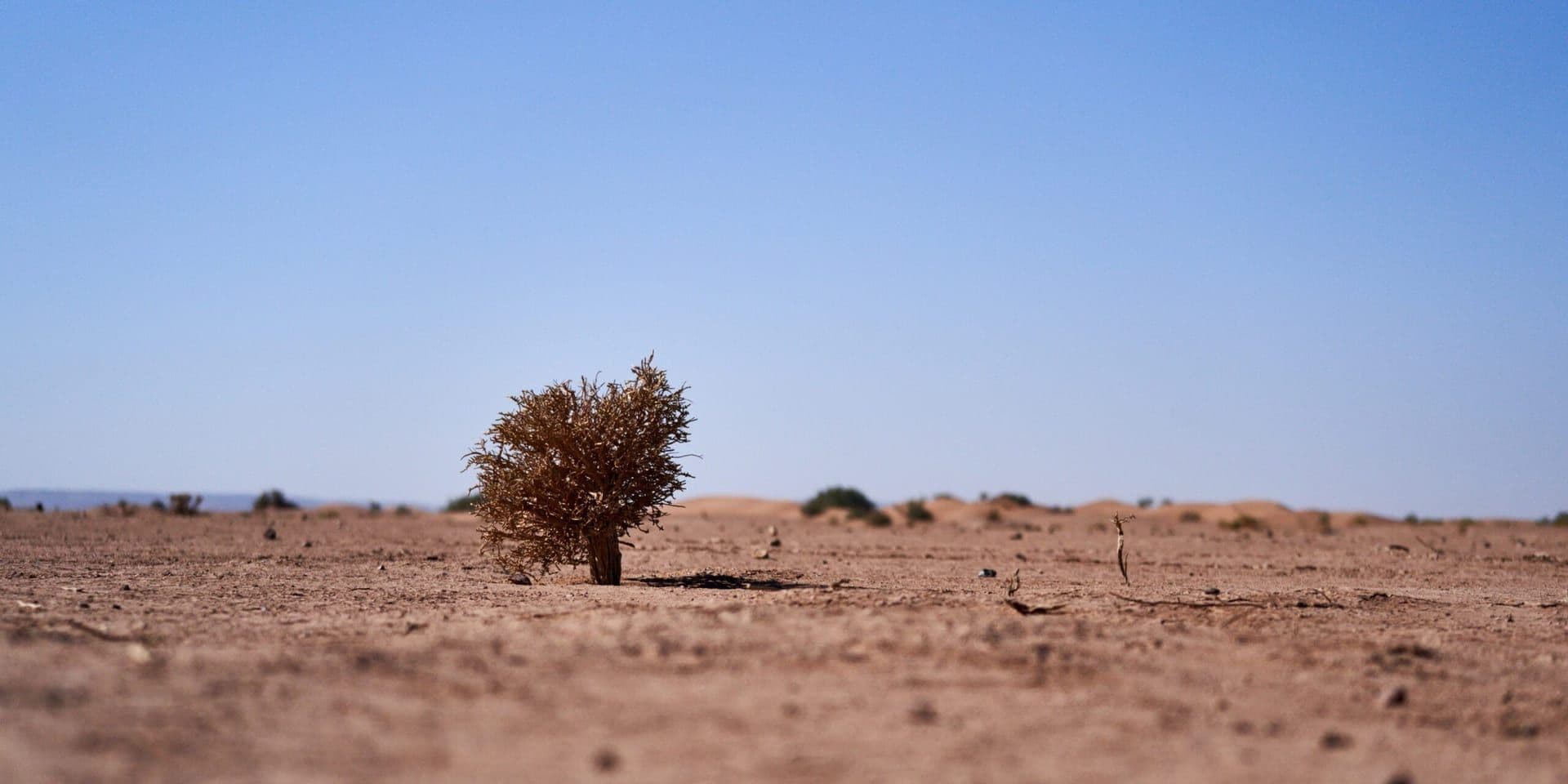 NOAA Forecasts Above-Average Temperatures and Elevated Drought Risks for June 2025