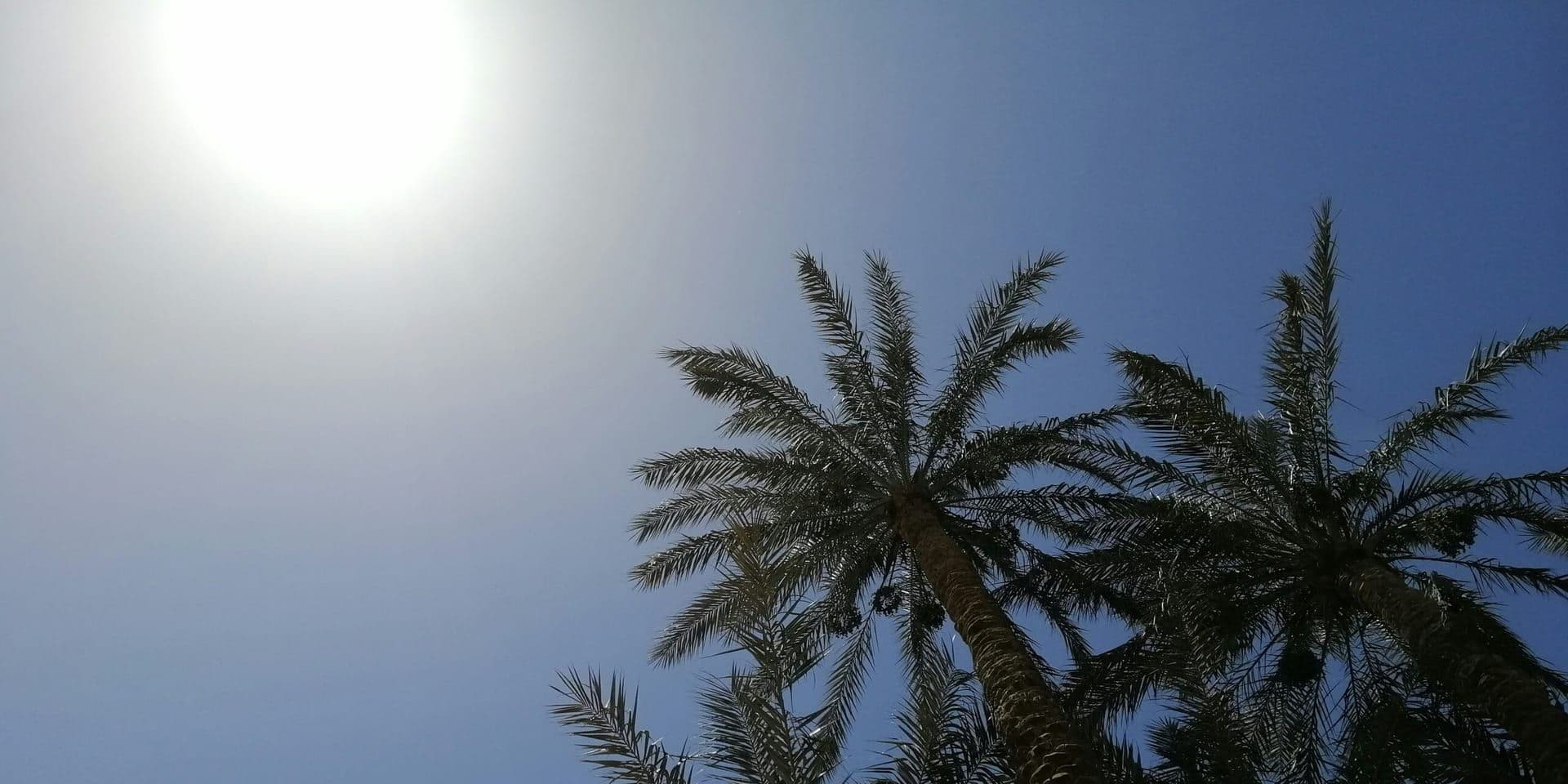 NOAA Warns of Potentially Most Dangerous Summer in Decades Due to Extreme Heat