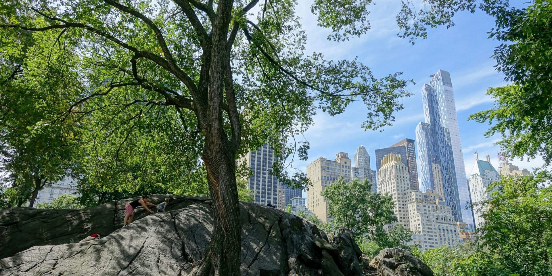 New York Launches Urban Greening Initiative to Combat Climate Change