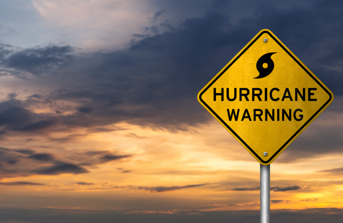 Screenshot 2025 01 13 052644